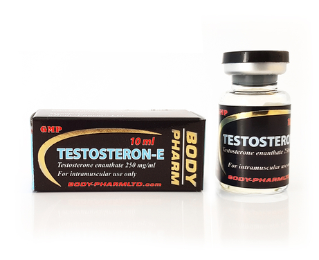 BodyPharm Testosteron-E one vial of 10ml (250mg/ml)