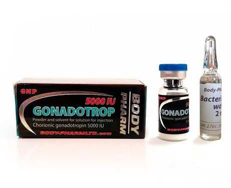 BodyPharm Gonadotrop 5000 IU 1 vial 5000iu + 1 solvent 2ml