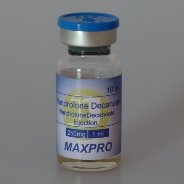 MAXPROPHARMA DYNA 100 10 ml vial (100 mg/ml)